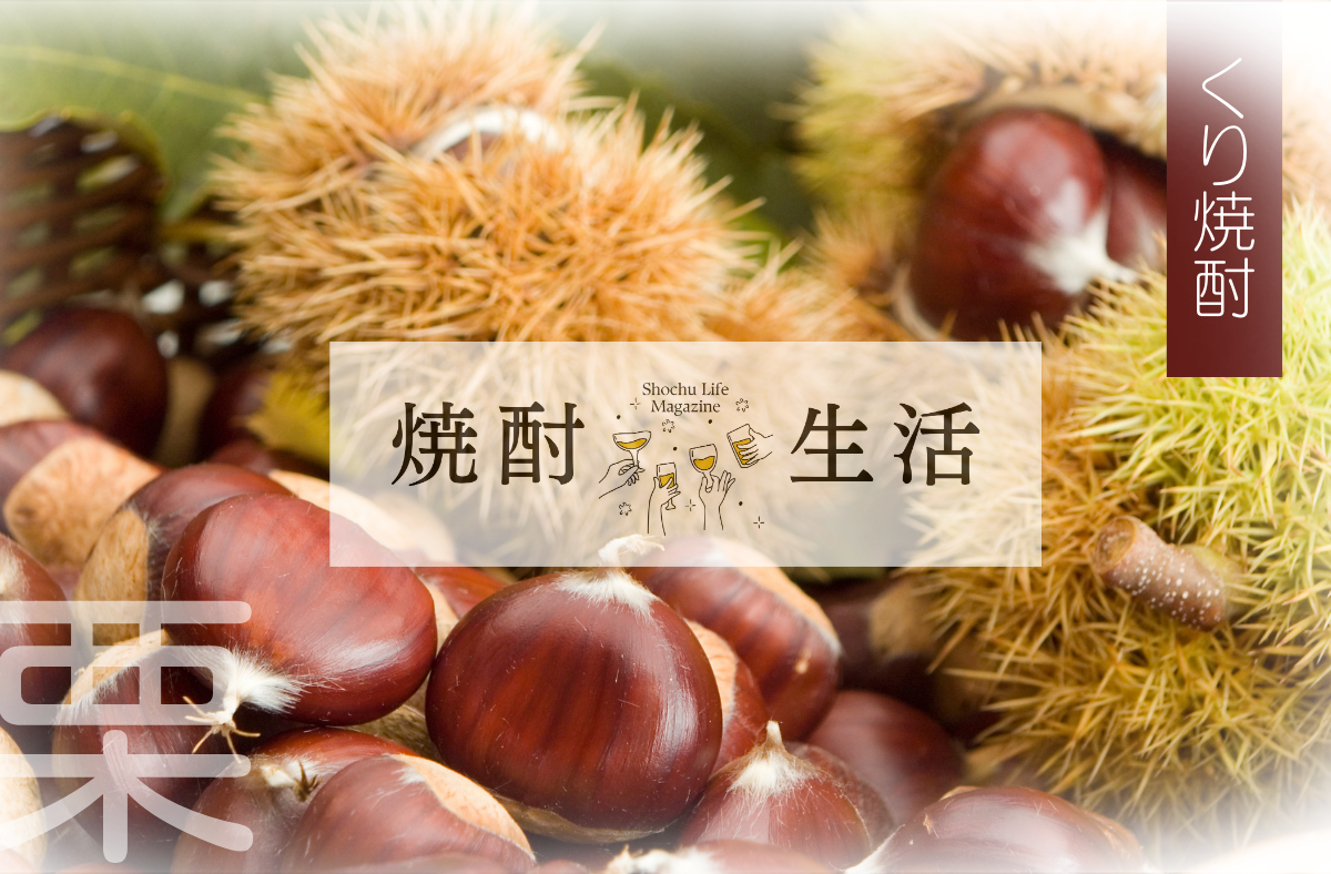 chestnuts SHOCHU