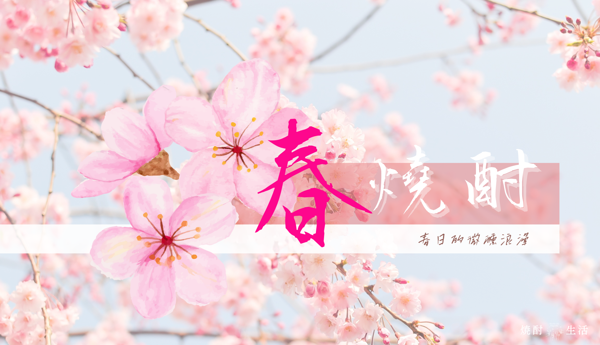 春燒酎:粉色春日的微醺浪漫,限定享受 1 shochulife_spring