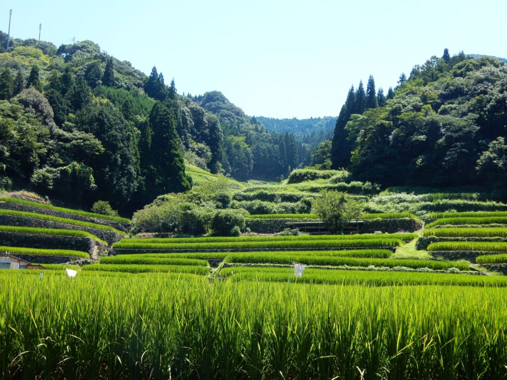 鬼ノ口棚田（球磨村） 843005bf 2fd9 448b 947d f8faddf6cc58